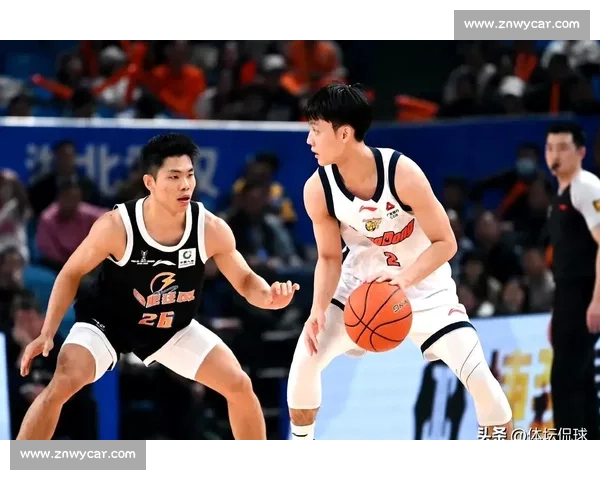 CBA直播观看指南:免费与付费平台推荐